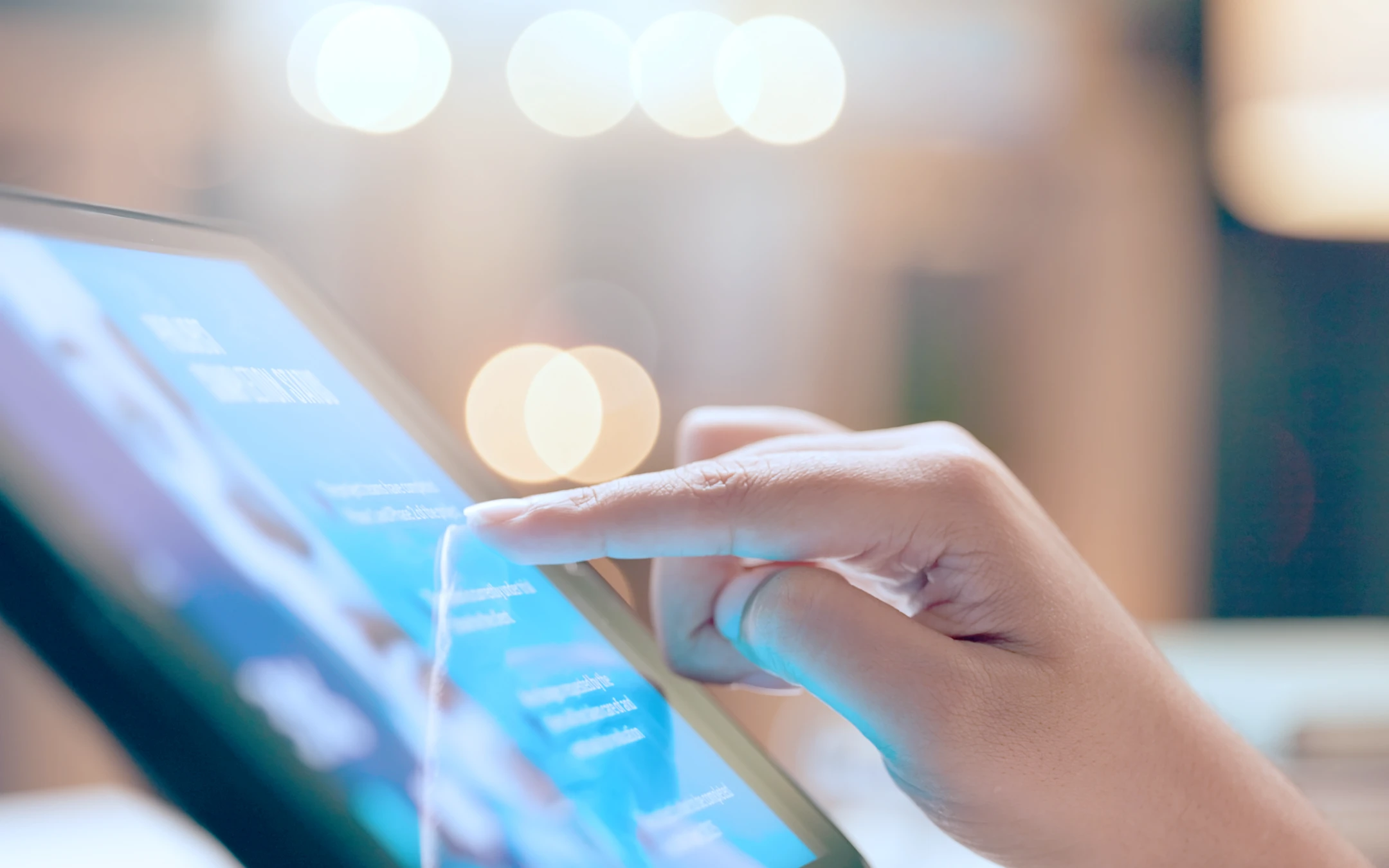 Capital Market Supporting Institution and Profession